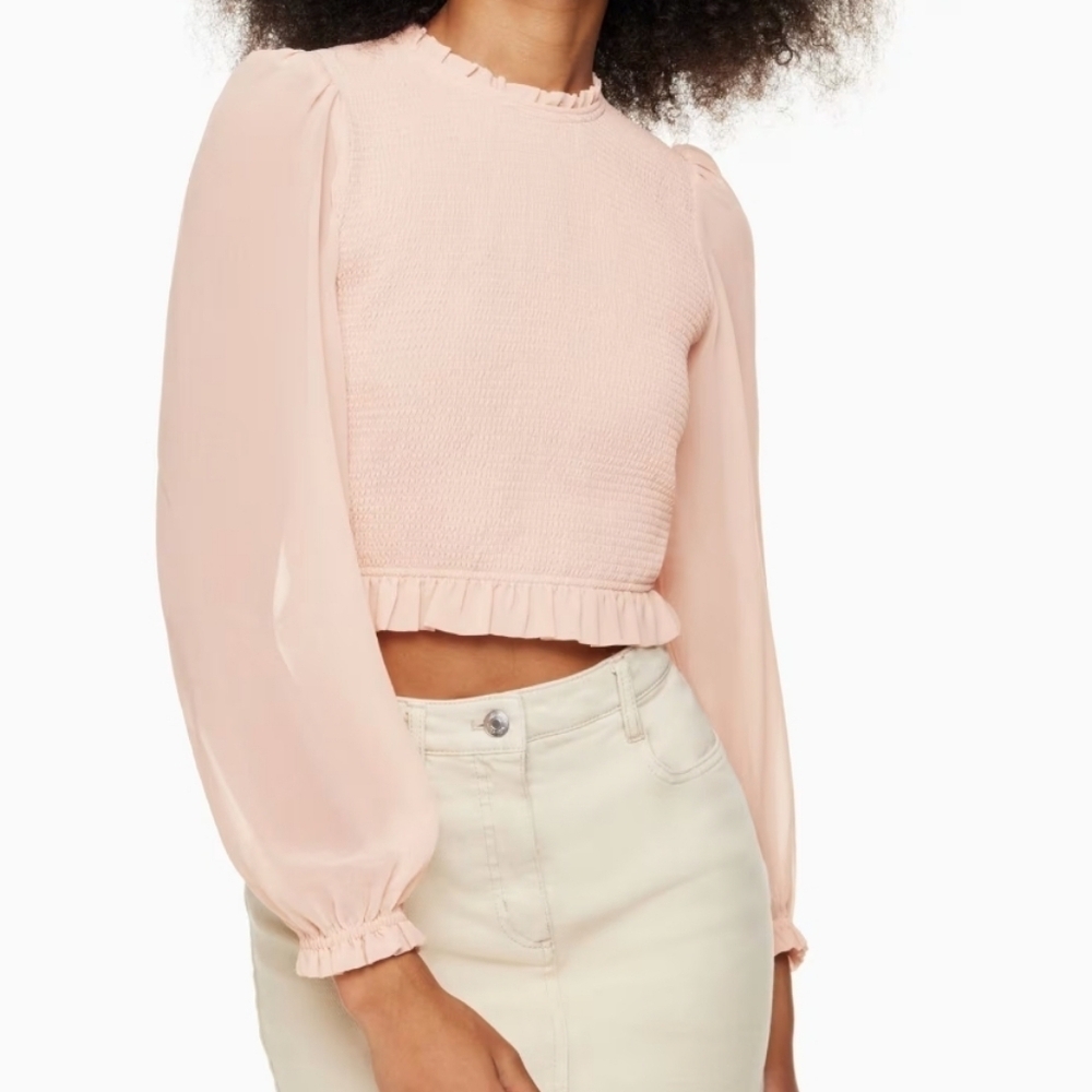 Wilfred By Aritzia Long Sleeve Chiffon At Waist Top Size S